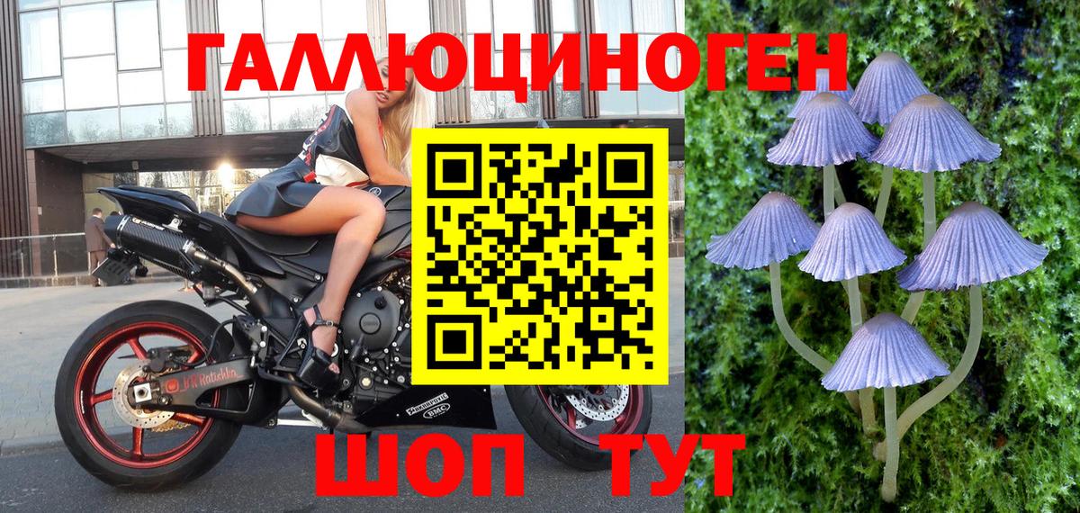 Кудрово  Галлюциногенные грибы ЛСД  Вход с VPN  Псилоцибиновые грибы прущие грибы 